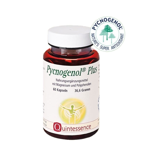 Pycnogenol Plus 60 vegane Kapseln von Quintessence