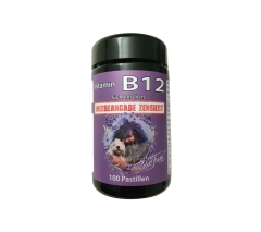 Vitamin B12 Lutschpastillen von Robert Franz